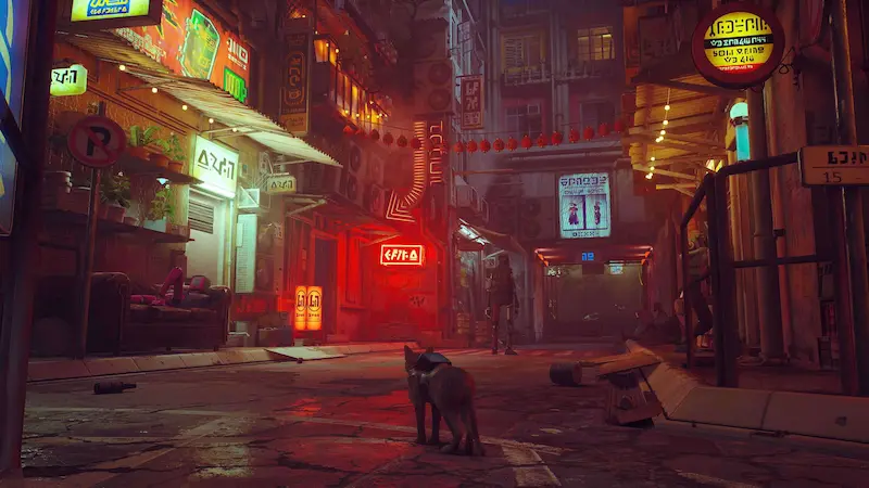 stray (1)