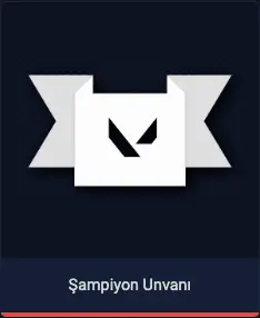 valorant şampiyon ünvanı