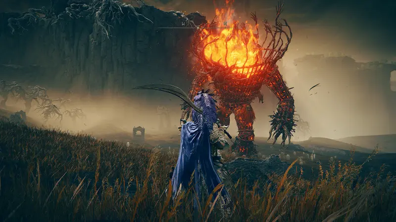 elden ring unlock the framerate modu (1)